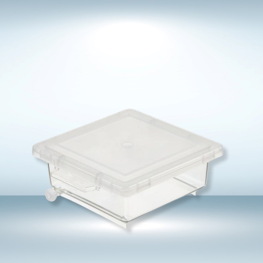 Staining Box 125 x 125 x 50 mm